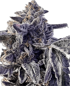 Sherb Cream Pie Clone