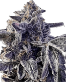 Sherb Cream Pie Clone
