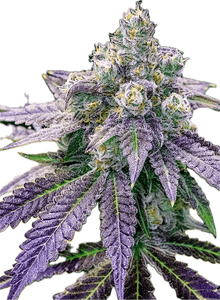 Sundae Driver Clone