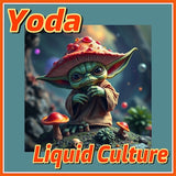 Yoda Liquid Culture