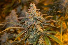 Alien Rift x Wizard's Glue Clone