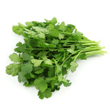 Cilantro, Coriander Seed Pack