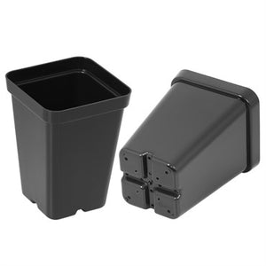 Sunpack 2.5" black square pot