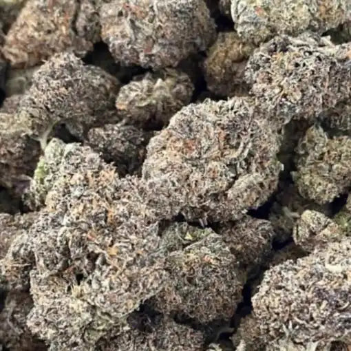 Black Runtz Clone