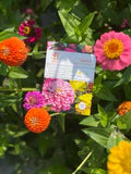 Flower Zinnia Lilliput