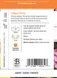 Flower Zinnia Lilliput