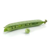 Peas Little Marvel Shelling