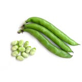 Beans Henderson Lima Bean
