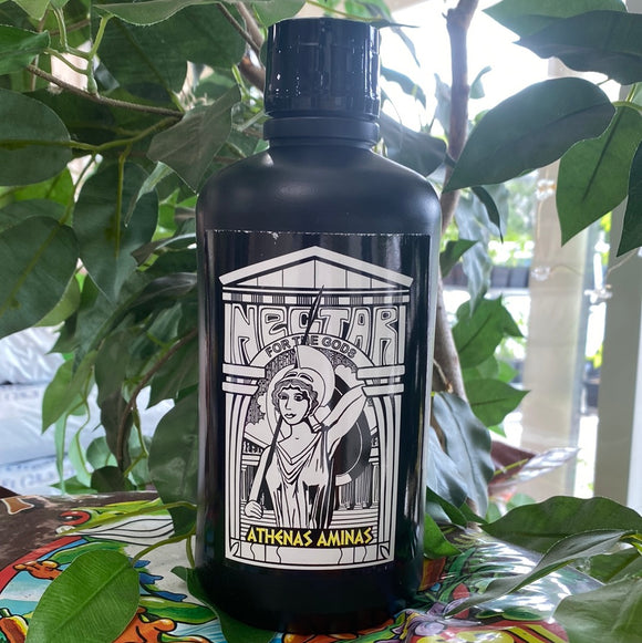 Nectar for the Gods Athena’s Aminas