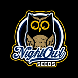 Night Owl - Time Machine Auto