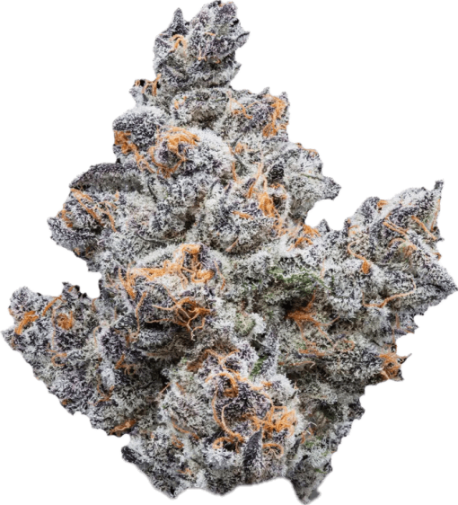 Menthol Biscotti Clone