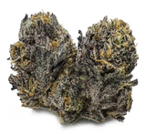 Purple Caviar Clone