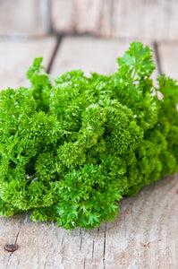Parsley Moss Curled