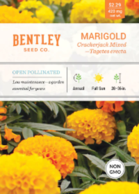 Marigold