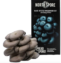 Spray & Grow Mushroom Kits