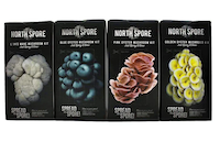 Spray & Grow Mushroom Kits