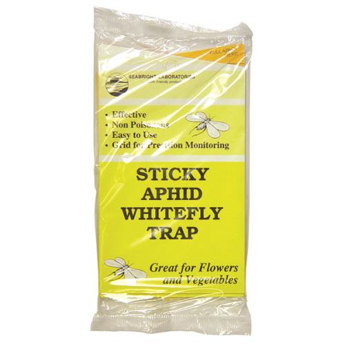 Sticky Aphid Whitefly Trap 5/Pack