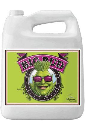 Advanced Nutrients Big Bud