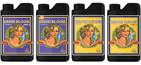 Advanced Nutrients Sensi Bloom