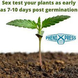 Phenoxpress plant testing kit