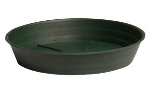 Premium Green Saucer