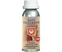 House and Garden Roots Excelurator Silver