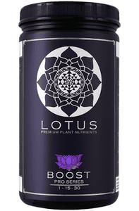 Lotus BOOST