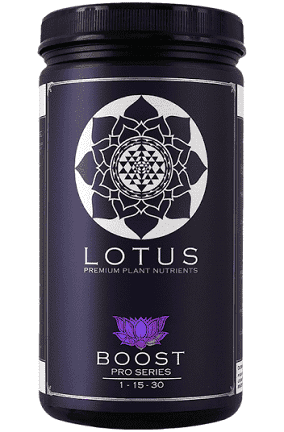 Lotus BOOST