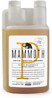 Mammoth P