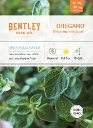 Oregano