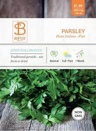 Parsley- Plain Italian