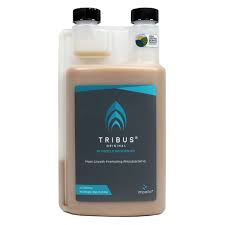 Tribus Original